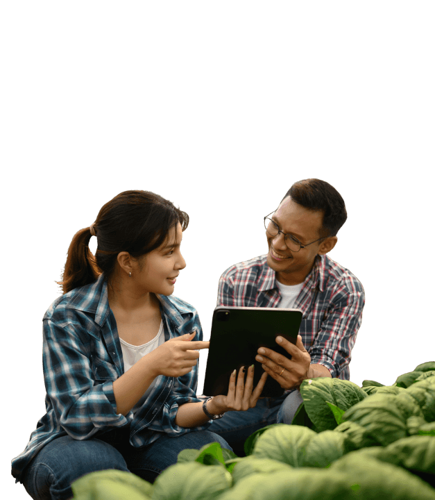 Business collaboration